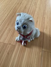 Little paws sheba for sale  Johnson City