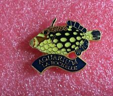 T02 pins aquarium d'occasion  La Roche-sur-Yon