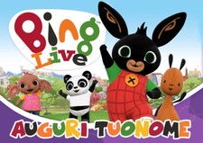 Cialda bing coniglio usato  Vittorito