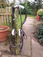 Shires point breastplate for sale  NEWARK