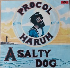 Procol harum salty gebraucht kaufen  Fürstenfeldbruck