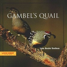 Gambel quail hardcover for sale  Montgomery