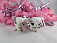 Cachorros Poodle Littlest Pet Shop branco e cinza #203 #204 olhos verdes  comprar usado  Enviando para Brazil