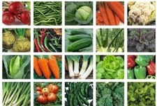 Vegetable seeds planting for sale  PEEBLES