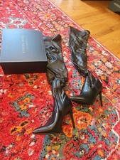 Azalea wang pointed for sale  Pascoag