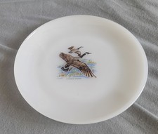 Vintage fire king for sale  Kissimmee