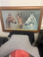Arkle red rum for sale  HAILSHAM
