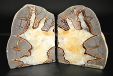Septarian matching dragon for sale  Oxford