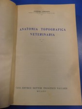Anatomia topografica veterinar usato  Sassuolo
