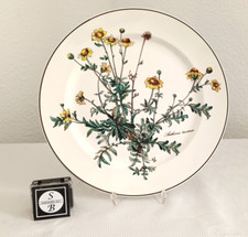 A25 villeroy boch gebraucht kaufen  Bous