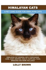 Himalayan cats himalayan for sale  UK