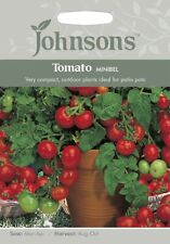Johnsons cherry tomato for sale  PONTYPOOL