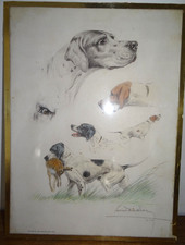 Belle litho léon d'occasion  Bidart