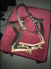 Lunge cavesson full for sale  EMSWORTH