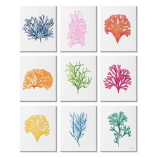 Vibrant various coral for sale  Brentwood