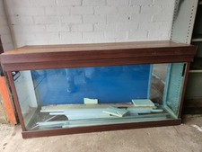 Custom made fish for sale  DAVENTRY