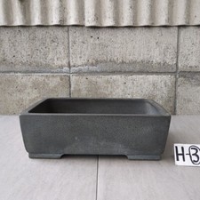 Usado, Vaso de árvore bonsai corte quadrado longo 10/32cm ferrugem (KyotoEiraku): JP comprar usado  Enviando para Brazil