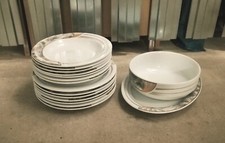 Tlg speiseservice hutschenreut gebraucht kaufen  Weiden