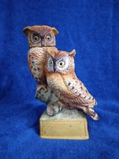 1973 screech owl for sale  Bardstown