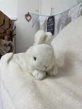 Netherland dwarf white for sale  PWLLHELI