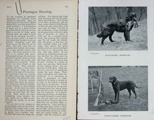 Original old antique for sale  UK