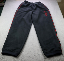 Air jordan sweatpants for sale  Labelle