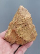 Neanderthal middle paleolithic d'occasion  Bonneville