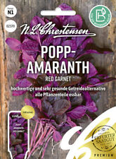 Popp amaranth red gebraucht kaufen  Elchesheim-Illingen