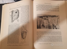 Ornitologia italiana. seconda usato  Mandello del Lario