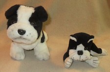 Two small boston d'occasion  Expédié en Belgium