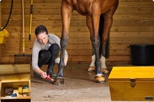 Breyer 2010s wooden for sale  Natick