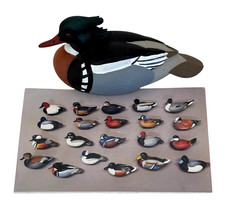 Jett brunet ducks for sale  Plymouth