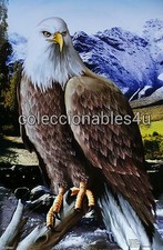 Painting print eagle for sale  USA