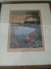 Signed hand colored for sale  Ocala