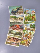 Konvolut alte sammelbilder gebraucht kaufen  Chemnitz