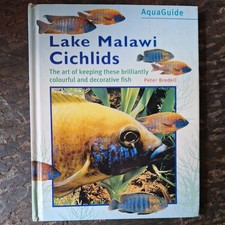 Lake malawi cichlids for sale  WATERLOOVILLE