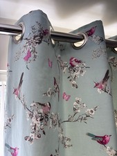 Dunelm beautiful birds for sale  NEWTON ABBOT