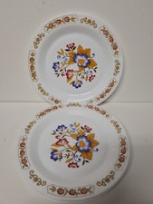 Arcopal france piatti usato  Pieve di Cento