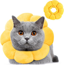 Premium halskrause katze gebraucht kaufen  Berlin