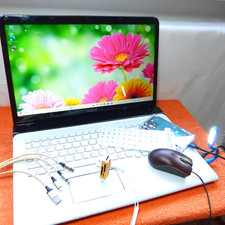 Sony vaio sve17 gebraucht kaufen  Oberweißbach/Thür. Wald