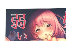Big Sister ponto fraco pé fetiche Doujinshi Ecchi anime mangá quadrinhos Japão comprar usado  Enviando para Brazil