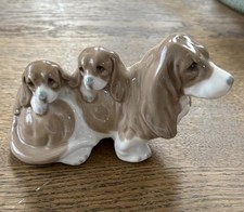 Dalia basset hound for sale  Tempe