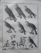 Gravure ancienne xviii d'occasion  Ploërmel