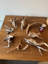 vivarium for sale  UK