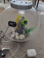Biorb tropical fish for sale  ORPINGTON