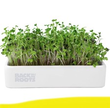 Back roots organic for sale  Plano