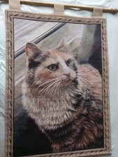 Cat sitting pretty for sale  Lynden