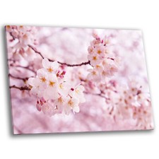 Framed canvas floral for sale  STRABANE