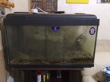 Acquario 350 litri usato  Tivoli