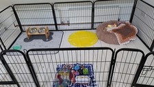 puppy play pen for sale puppy play pen for sale MATLOCK